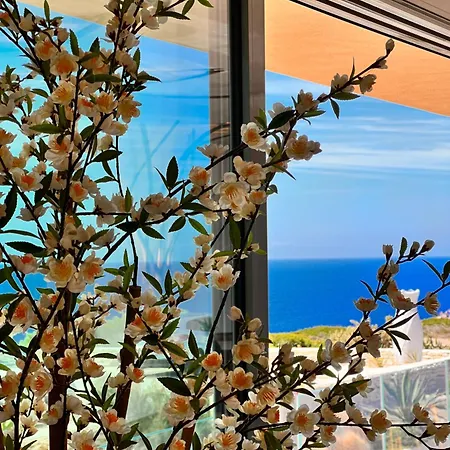 Santateresa Bonifacio (Corsica)